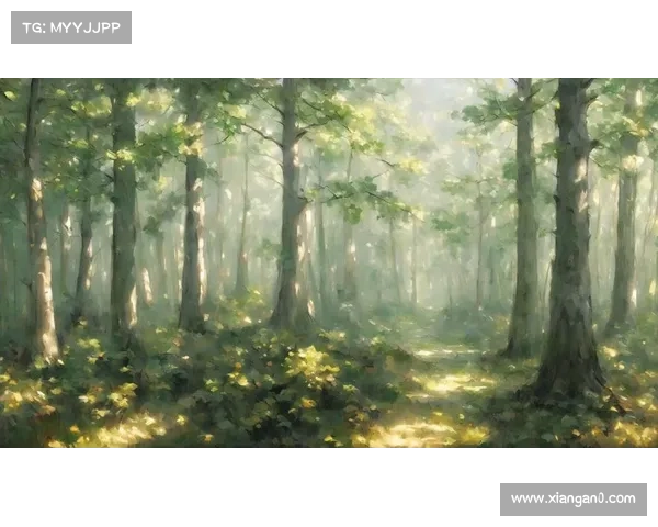 迷失丛林:通关指引,破关不再迷路 迷失丛林:通关指引,破关不再迷路